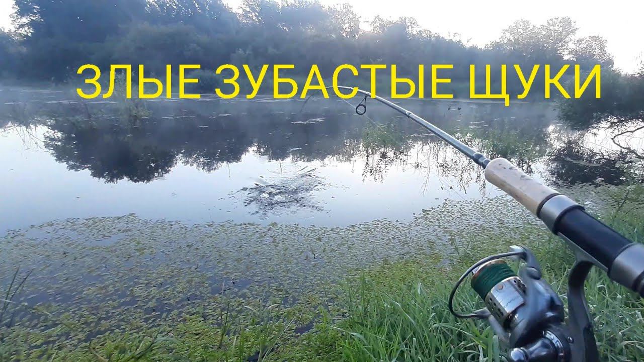 САМАЯ ЛУЧШАЯ РЫБАЛКА!!! ДЛЯ ДУШИ смотреть онлайн