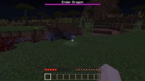 HOW TO SPAWN A BABY ENDER DRAGON in Minecraft Pocket Edition