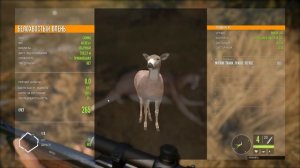 theHunter Call of the Wild #1 ? - Первая Охота - ГАЙД для Начинающих