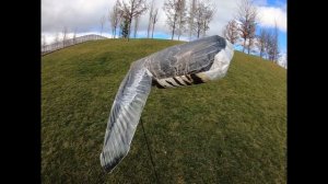 Flock Decoys тест Махокрыл "белолобый гусь"