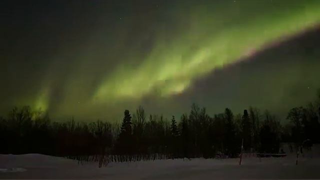 Видео северного сияния в Aurora Village Аврора Мурманск шикарные сполохи полярное сияние #aurora