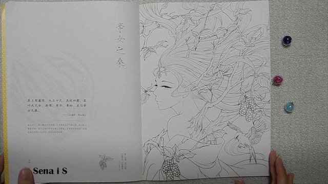 ОБЗОР китайской РАСКРАСКИ с РУСАЛКОЙ на обложке SHANHAIJING с Алиэкспресс / Aliexpress / SenaiS Art смотреть онлайн