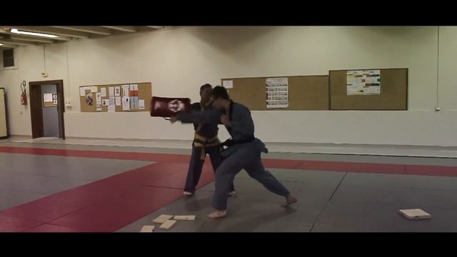 Sin Moo Hapkido - Entrainement / Casse de planche смотреть онлайн