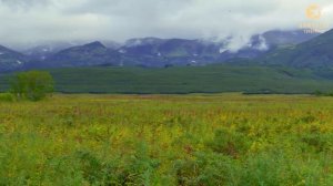 КАМЧАТКА. Охота на медведя.  Лучшая база Камчатки @INSTINCT_CLUB