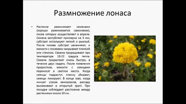 ЛОНАС