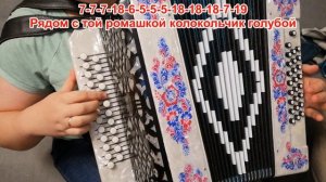 РОМАШКА / Разбор на гармони