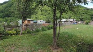 Продажа дома и  земельного участка в Партизанском районе, с. Новая Сила.