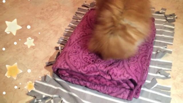 ЛЕЖАНКА ДЛЯ СОБАКИ ЗА 5 МИНУТ смотреть онлайн