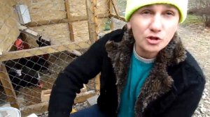 21_Чем кормить кур утром?! Наш рецепт!!!