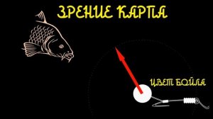 Самые уловистые бойлы