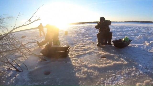 РЫБАЛКА НА НЕФТЯНОМ МЕСТОРОЖДЕНИИ! ОКУНЬ и ЩУКА капризничают на смене погоды. #клеваярыбалка #югра
