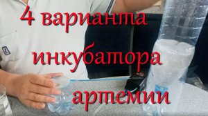 Бульбулятор для выращивания артемии: получаем чистых науплий без шелухи для кормления малька