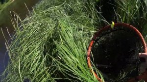 Рыбалка в КОМИ. Трое в лодке. 2 часть.