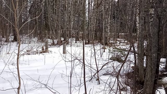 утро в деревне/всё тает смотреть онлайн