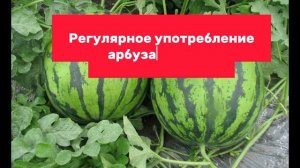 Арбуз полезен ли для организма?