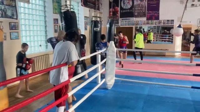 Бокс ? Мой сын , в деле ? смотреть онлайн