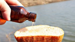 Пропитайте хлеб этим маслом рыба будет клевать на каждом забросе!Гвоздики масло для рыбалки