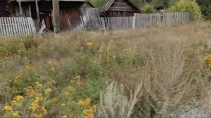 Заброшенная улица д. Дубенки Ульяновская область. Интересные находки. Часть 2.