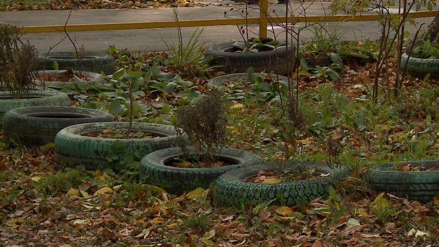 Череповчанам придётся отказаться от клумб из покрышек во дворах смотреть онлайн