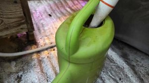 Теплица зимой, огурцы, рассада, полив, удобрения, досветка, тёплые грядки!