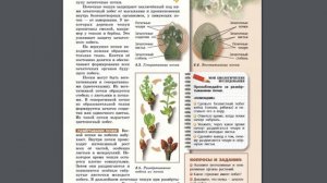 Биология (Л.Н.Сухорукова) 5-6к §27 Органы и системы органов растений. Побег