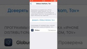 Ненадёжный корпоративный разработчик на iPhone решение проблемы