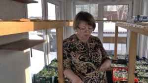 МУЖ сделал ЗИМНИЙ САД своими руками.  ВСЕ ПОКАЖУ!