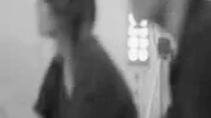 Gulben Ergen ft. Mustafa Sandal-Shikir Shikir