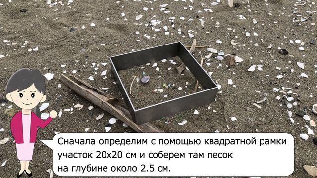 Видеоролик о способах проведения исследований микропластика на побережье