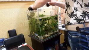 Аквариум 30 литров