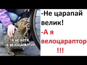 Лютые приколы. -Не царапай велик! -А я велоцараптор