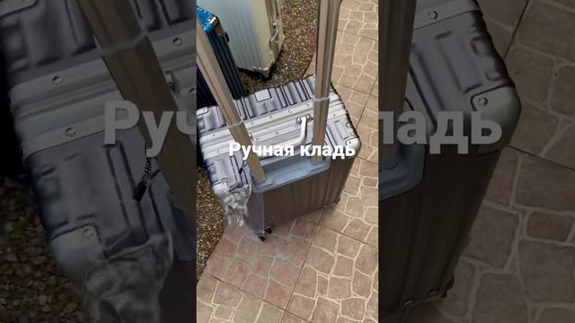 Ручная кладь. Поликарбонат#Чемодан #КупитьЧемодан #Москва #Чемоданы #Чемодан #Питер #мск#питбуль ￼