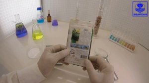 Кабачок Буржуин. СеДеК