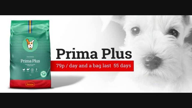 Husse- Healthy Food Happy Pet  - Super Premium food for your dog and cat
