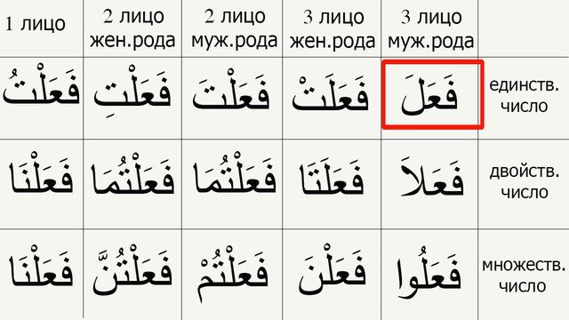 Спряжение Трехбуквенного Правильного Глагола в  Прошедшем Времени