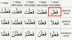 Спряжение Трехбуквенного Правильного Глагола в  Прошедшем Времени