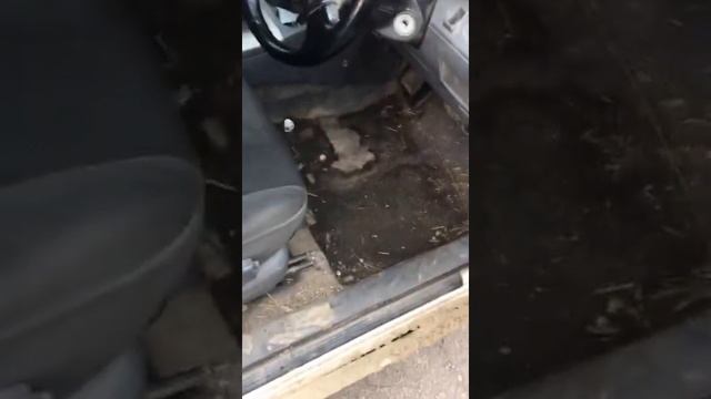 Раф4 на мойке смотреть до конца смотреть онлайн