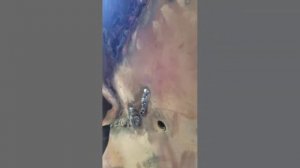 Опель кадет небольшой ремонт сварка днища