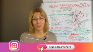 Природные антибиотики    Кора муравьиного дерева.