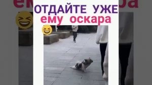 Отдайте ему уже оскара