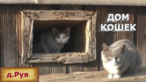Деревня маленьких домов. Дом кошек. Дед последний житель в деревне. В глубинке России.