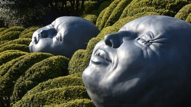 4K Ultra HD - Nikon D810 Photograpy | Nikon D810 Pictures смотреть онлайн