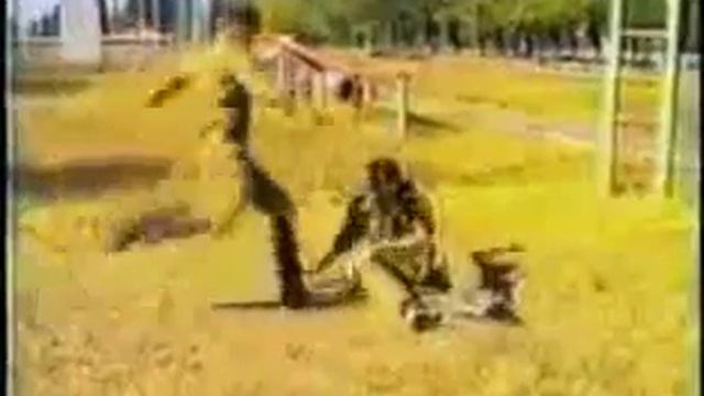 Славянский  Боевой Стиль смотреть онлайн