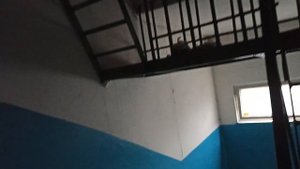 Пассажирский лифт МЛМ-(2019 г.в) с синими кнопками в панельной 9-этажке проекта 1-464Д-84.