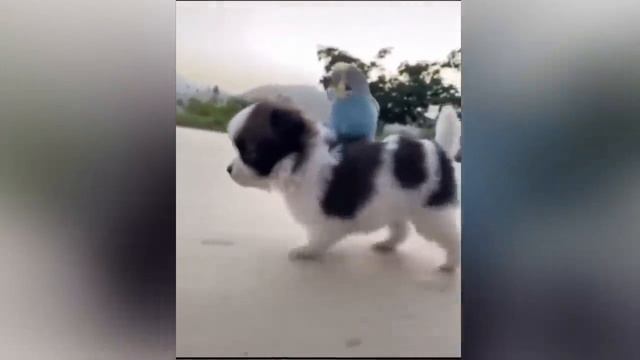 Пошла на прием к гинекологу...! смотреть онлайн