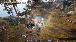 КОРСАР (пробуда): Скилы, фарм и первые впечатления - НЕ гайд в БДО (BDO - Black Desert)