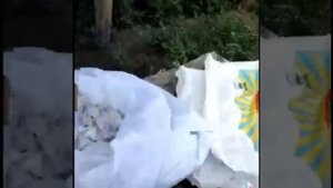 Бизнес на ПУХе. Гусиный пух в домашних условиях!