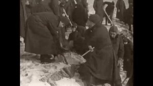 Как Хрущев амнистировал не только бандеровцев но и карателей нацистов Германии.mp4