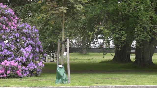 0289 Rhododendron 31 maj 2012 h.264.mp4 смотреть онлайн