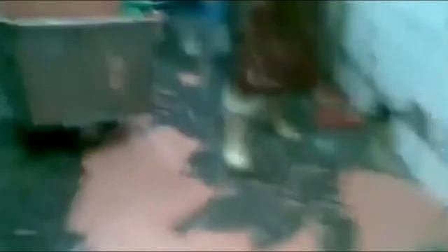 Как делают колбасу!